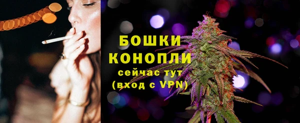 ПСИЛОЦИБИНОВЫЕ ГРИБЫ Волосово