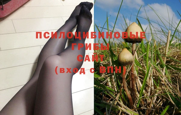 ПСИЛОЦИБИНОВЫЕ ГРИБЫ Волосово