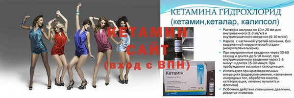 сатива Волоколамск