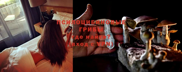 сатива Волоколамск