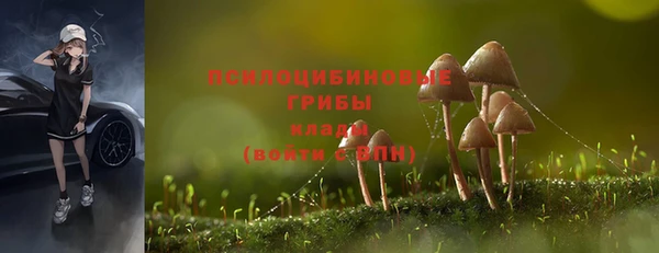 ПСИЛОЦИБИНОВЫЕ ГРИБЫ Волосово