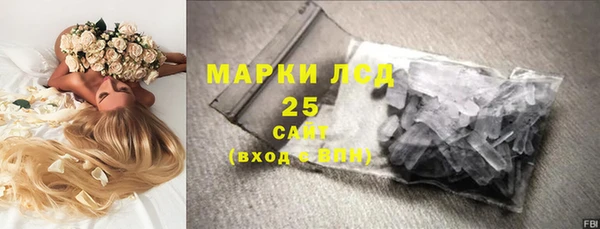 ПСИЛОЦИБИНОВЫЕ ГРИБЫ Волосово