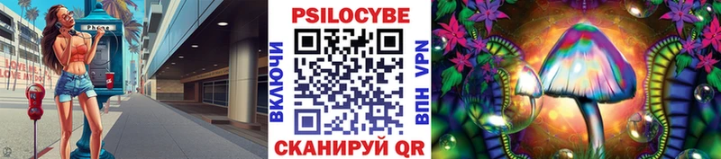 ОМГ ОМГ как зайти  Новороссийск  Галлюциногенные грибы GOLDEN TEACHER 