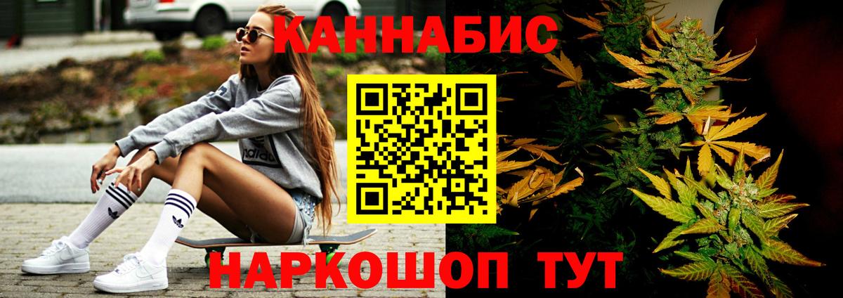 Канабис OG Kush Новороссийск